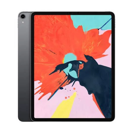 Apple iPad Pro 12.9 (3rd Generation) Wi-Fi Only Tablet, Gray