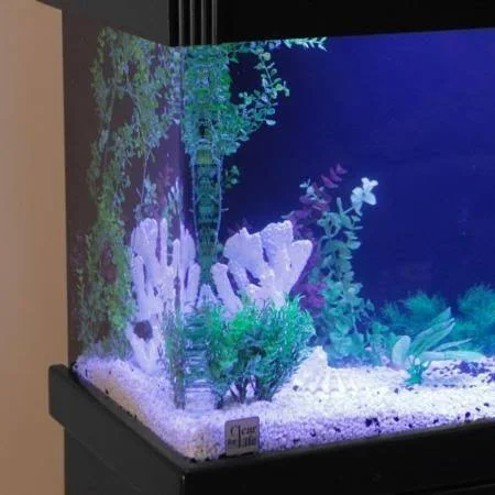 Clear for Life 29r Rectangle UniQuarium - Black Back