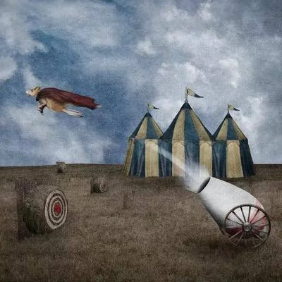 Framed Poster Prints - Take Flight by Gregory Noblin ( Animal Art > wildlife > Rabbits art)