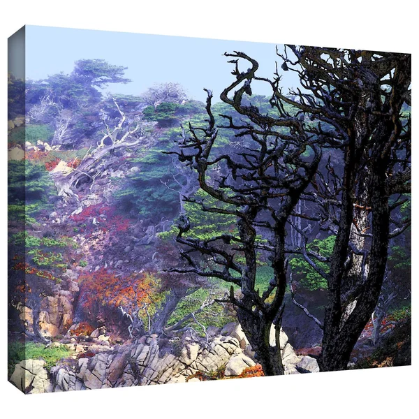 ArtWall Dean Uhlinger Point Lobos Morning Gallery-Wrapped Canvas