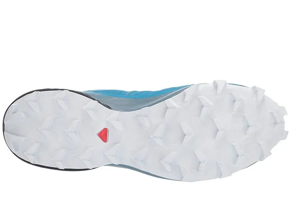 Salomon Men's Speedcross 5 Shoe - 13 - Fjord Blue, Navy Blazer, Illusion Blue