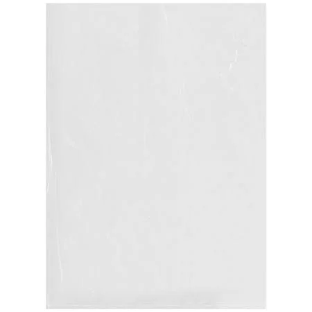 Plymor Flat Open Clear Plastic Poly Bags - 2 mil, 13 inch x 18 inch, Size: Case of 1000