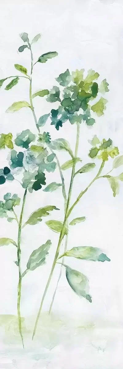 Panoramic Framed Canvas Art - Meadow Silhouette I by Nan ( Floral & Botanical > Flowers art)