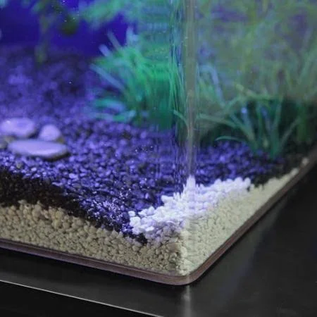 Clear for Life 29r Rectangle UniQuarium - Black Back