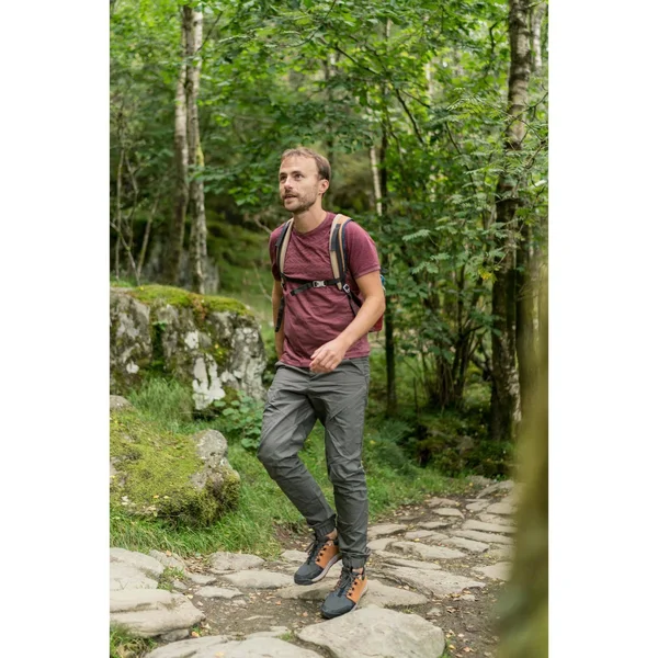 Quechua Men's Nh500 - Slim Hiking Pants in Hazelnut, Size XL/2XL