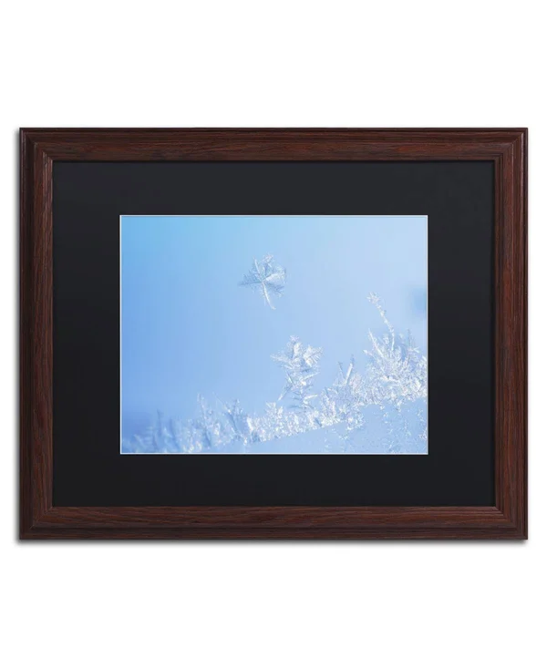 Trademark Fine Art Window Frost by Kurt Shaffer Framed Photographic Print - Size: 16x22 H x 20x22 W x 0.5x22 D