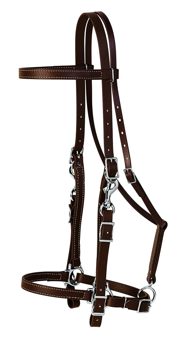 Weaver Leather Brahma Webb Halter Bridle - Brown