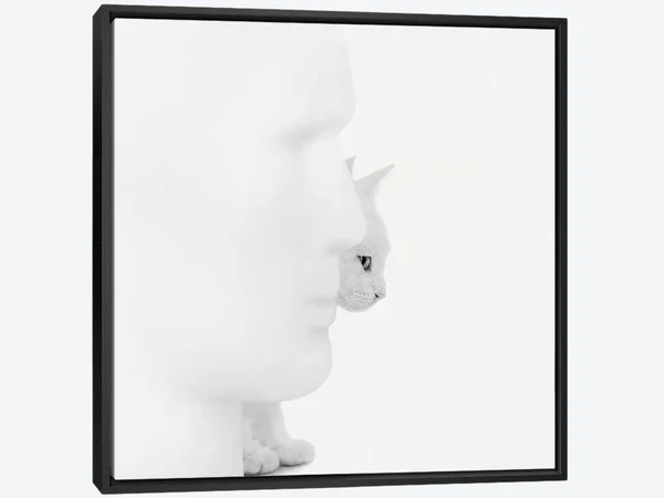 Framed Canvas Art - Mystique by Jon Bertelli ( Animal Art > Cats art)