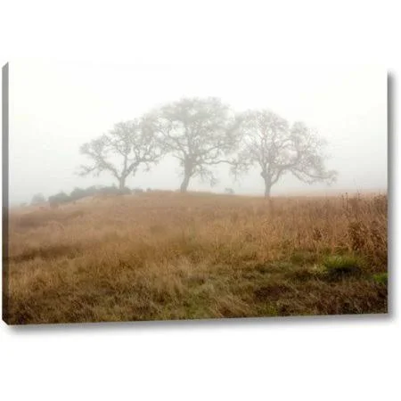 Millwood Pines 'Oak Tree - 16' by Alan Blaustein Giclee Art Print on Wrapped Canvas, Size: 10 inch H x 16 inch W x 1.5 inch D, B