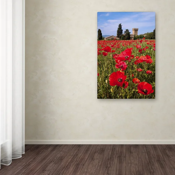 Trademark Fine Art &Poppies Close& by Michael Blanchette Photographic Print on Wrapped Canvas - Size: 47x22 H x 30x22 W x 2x22 D