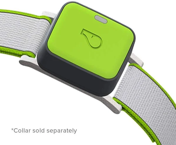 Whistle Go Explore - The Ultimate Health & Location Tracker for Pets - Green