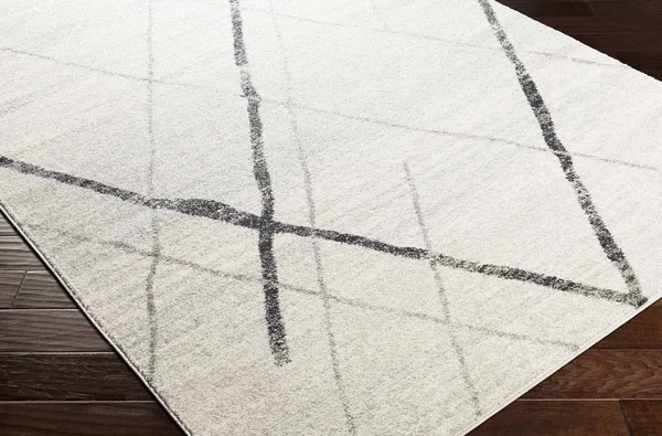 Polegate 2&7x22 x 7&6x22 Modern Area Rug - Hauteloom