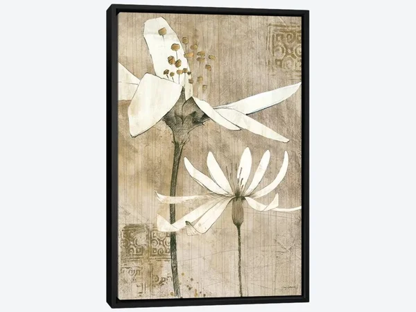 Framed Canvas Art - Pencil Floral II by Avery Tillmon ( Floral & Botanical > Flowers art)