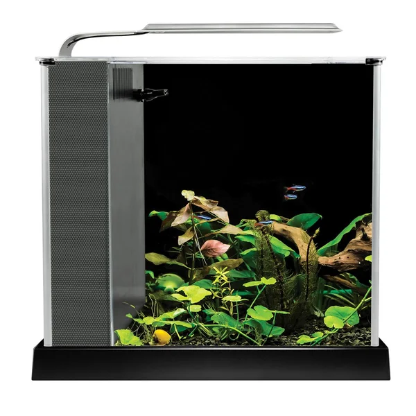 Fluval Spec III Aquarium Kit - 2.8 Gallon - Black