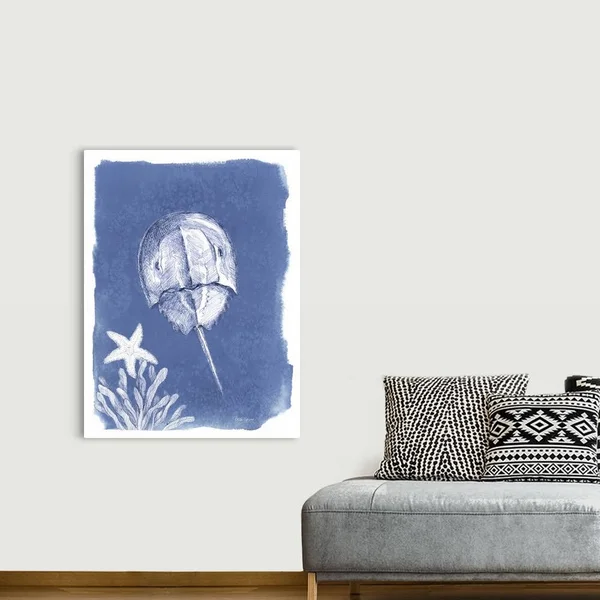 Coastal Sea Life VI, Canvas Wall Art, 36x48, Great Big Canvas