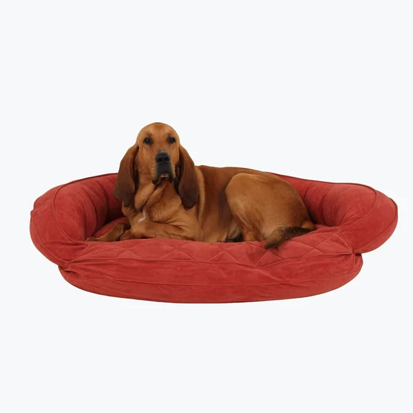 Carolina Pet Company Microfiber Quilted Bolster Bed with Moisture Barrier Protection Sage