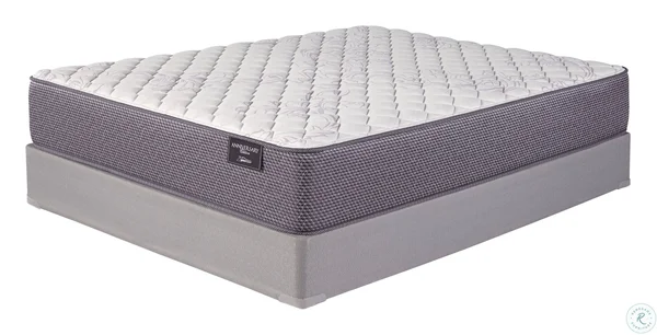 Ashley-Sleep Anniversary Edition Plush Twin Mattress - White