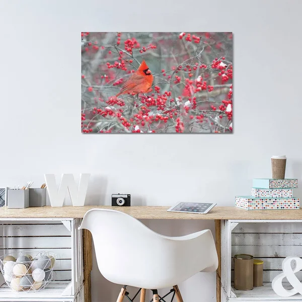 Richard & Susan Day Canvas Wall Decor Prints - Northern Cardinal Male in Winterberry BUSH, Marion County, Illinois ( Animal