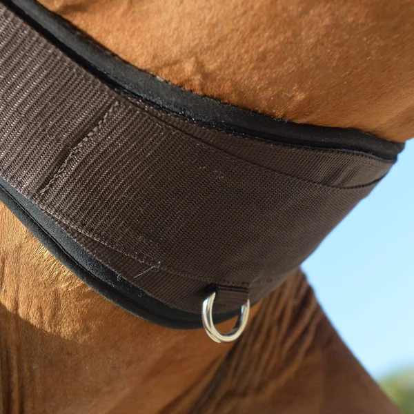 EquiFit Essential Schooling Girth - SheepsWool Liner