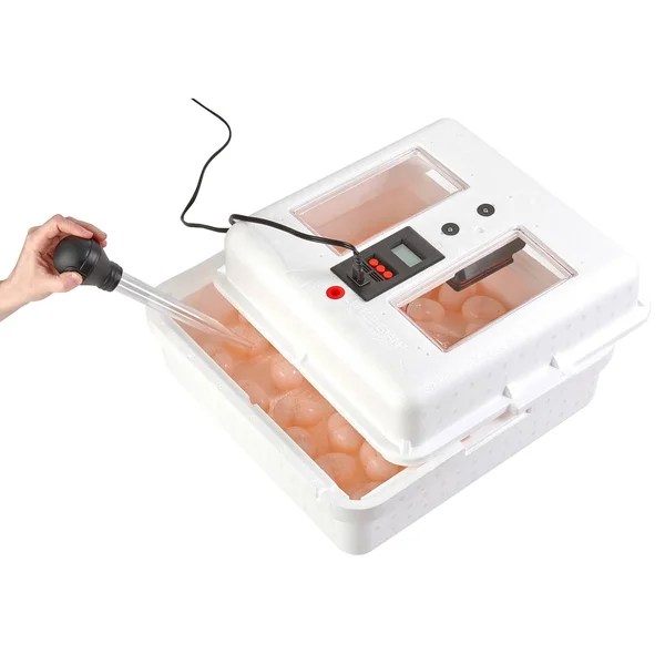 Little Giant 9300 Digital LCD Still Air Incubator for 41 Eggs - White