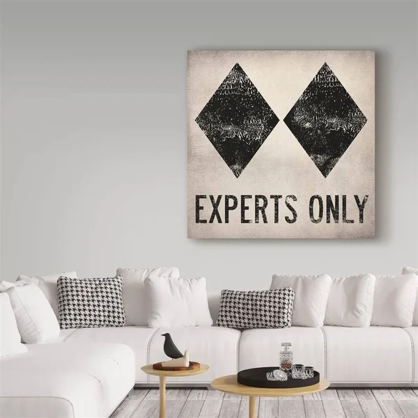 Trademark Fine Art 'Experts Only White' Canvas Art by Ryan Fowler - Black