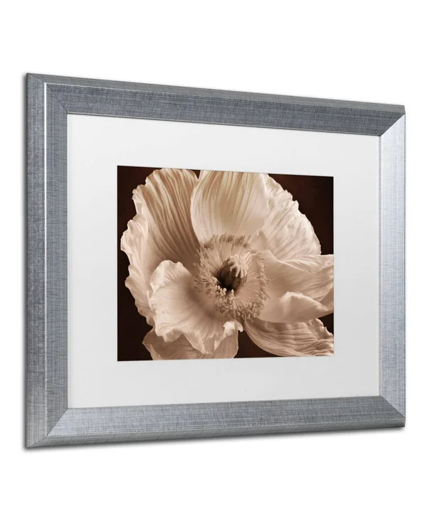 Trademark Art Sepia Poppy I by Cora Niele Framed Photographic Print Size: 16x22 H x 20x22 W x 0.5x22 D - Frame Color: Silver