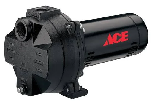 Ace 1 HP 1560 GPH Cast Iron Sprinkler Pump