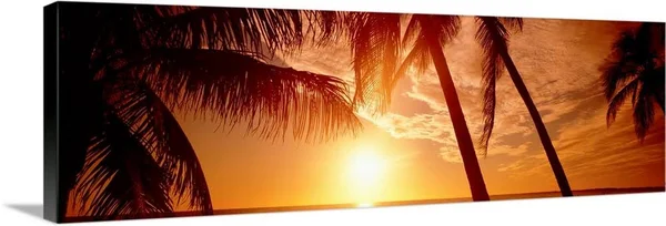Florida, Fort Meyers, Sunset, Canvas Wall Art, 36x12, Great Big Canvas