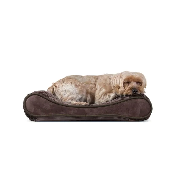 FurHaven Pet Dog Bed - Orthopedic Minky Plush & Velvet Luxe Lounger Pet Bed for Dogs & Cats (Espresso, Giant)