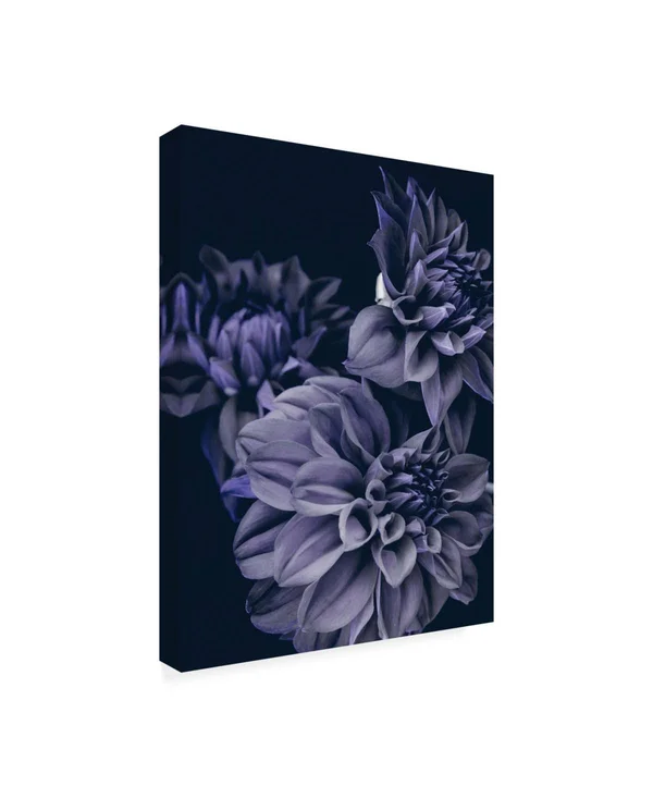 Trademark Fine Art Ic01422-C1824Gg Design Fabrikken 'Secret 15 Fabrikk