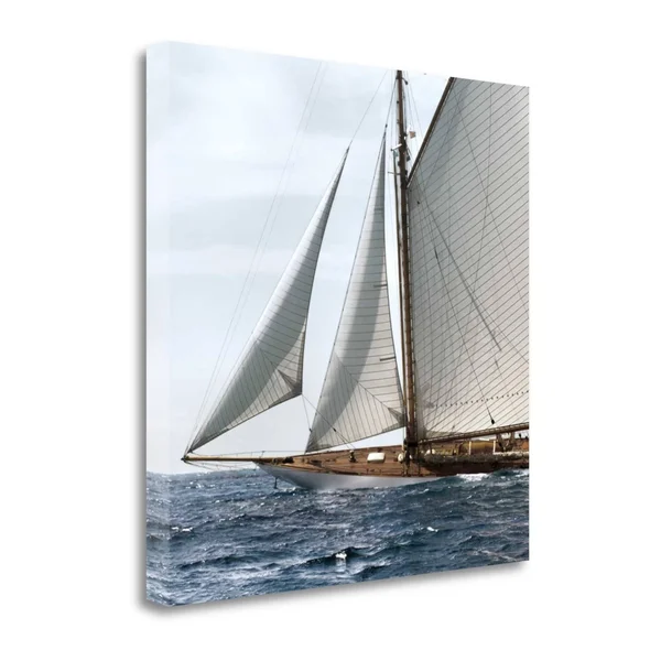 Tangletown Fine Art Sailing South by Jorge Llovet - Giclee Print on Gallery Wrap Canvas, 25x22x25x22