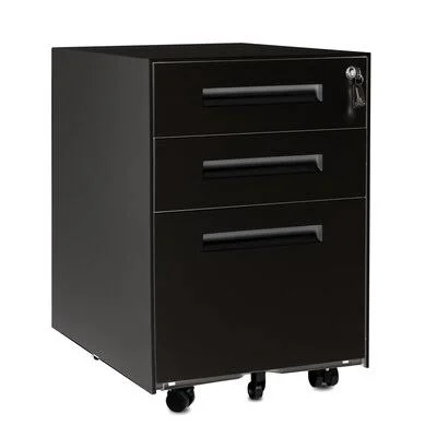 Norden 3-Drawer Mobile Vertical Filing Cabinet Inbox Zero Color: Black