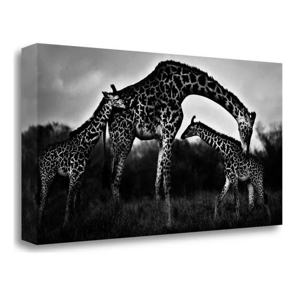 24x22 x 47x22 Giraffe Family by Xavier Ortega Fine Art Giclee Print