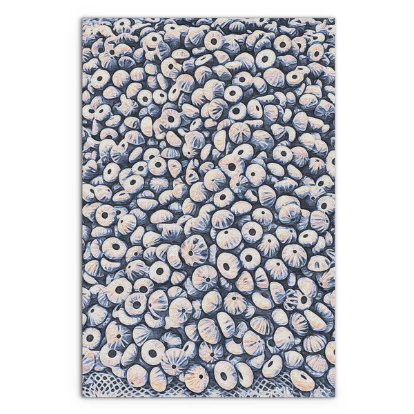 36x22 x 24x22 Endless Shells Premium Stretched Canvas by Amrita Sen in Multi-Color