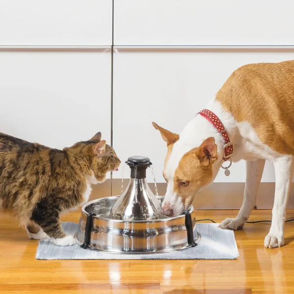Drinkwell 360 Pet Fountain, Stainless Steel PetSafe