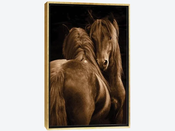 Framed Canvas Art (Gold Floating Frame) - Tenderness I by Tony Stromberg ( Animal Art > Farm Animals > Horses art)