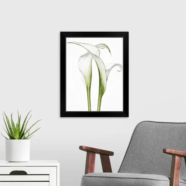 Calla Lily Pair, Black Framed Wall Art, 16x20, Great Big Canvas