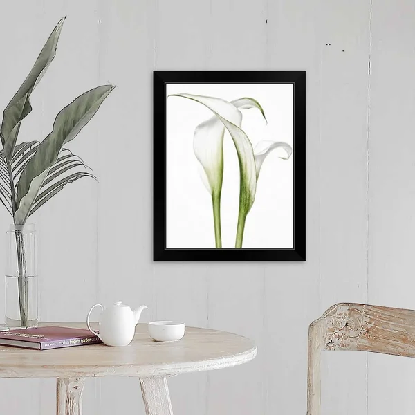 Calla Lily Pair, Black Framed Wall Art, 16x20, Great Big Canvas