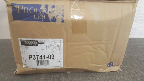 Progress Lighting P3741-09 Bingo Semi Flush Mount Light Brushed Nickel