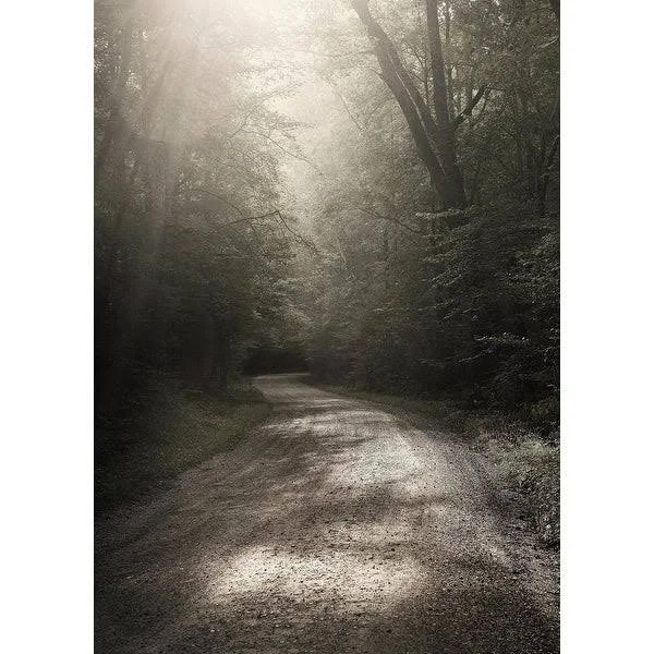 Easy Art Prints Nicholas Bell's 'Back Country Road' Premium Canvas Art - 35 x 25 - Brazilian Barnwood Frame