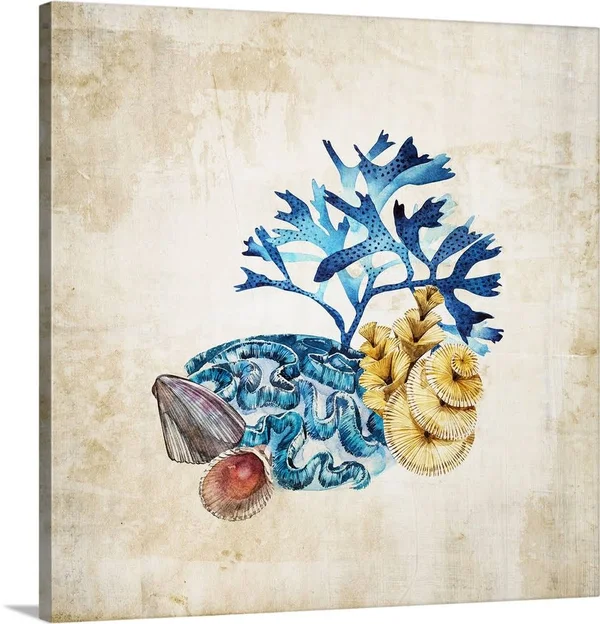 Sea Life II, Canvas Wall Art, 30x30, Great Big Canvas