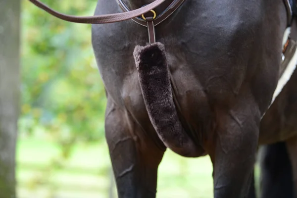 Kentucky Horsewear breastplatecover Sheepskin Brown