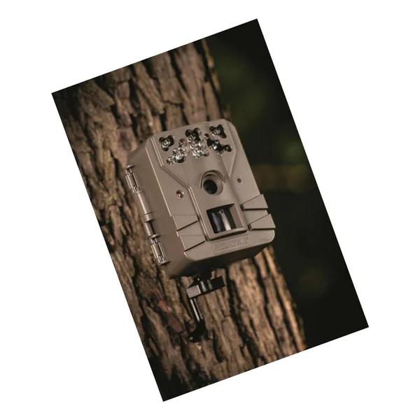 Moultrie 14MP A-700 Trail Camera