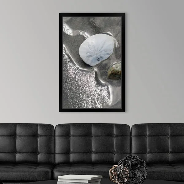 Sand Dollar, Black Framed Wall Art, 24x36, Great Big Canvas