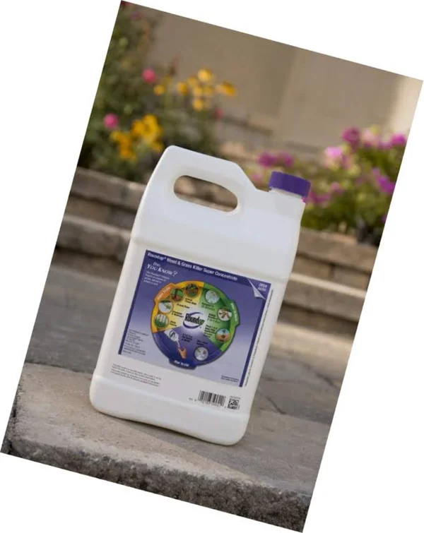 Roundup 1 Gal Super Concentrate Weed & Grass Killer