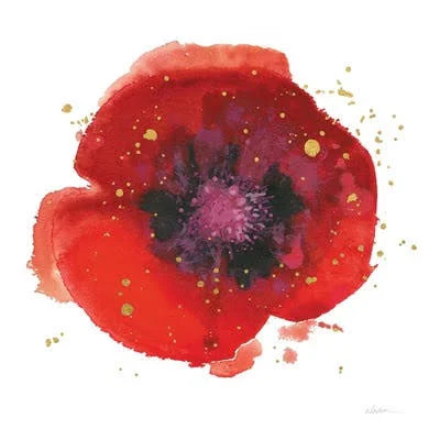 Framed Poster Prints - Splash V by Shirley Novak ( Floral & Botanical > Flowers > Poppies art)