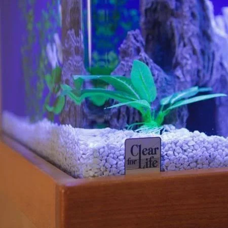 Clear for Life 29r Rectangle UniQuarium - Black Back
