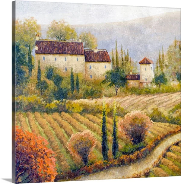 Tuscany Vineyard I, Canvas Wall Art, 20x20, Great Big Canvas