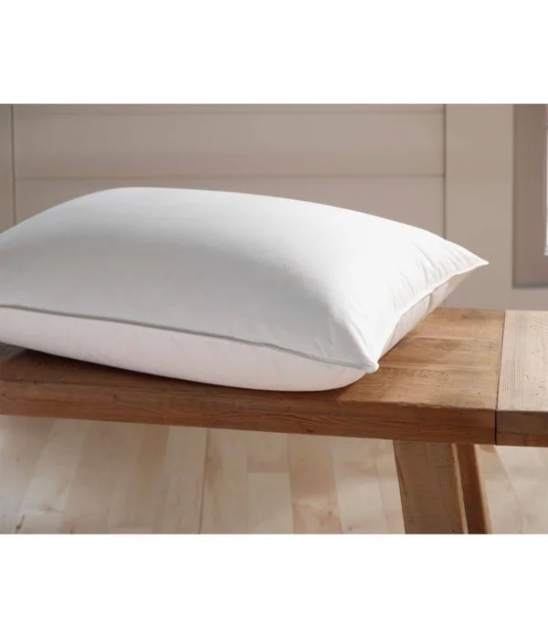 Organic Cotton Down Pillow Tan Standard Size - L.L.Bean