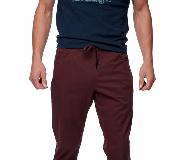 Black Diamond Notion Pants - Men's Port Large AP7500606031LRG1